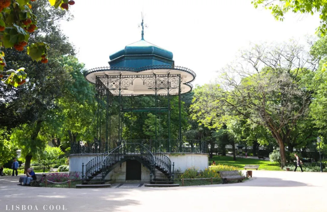 Campo de Ourique Premium-1